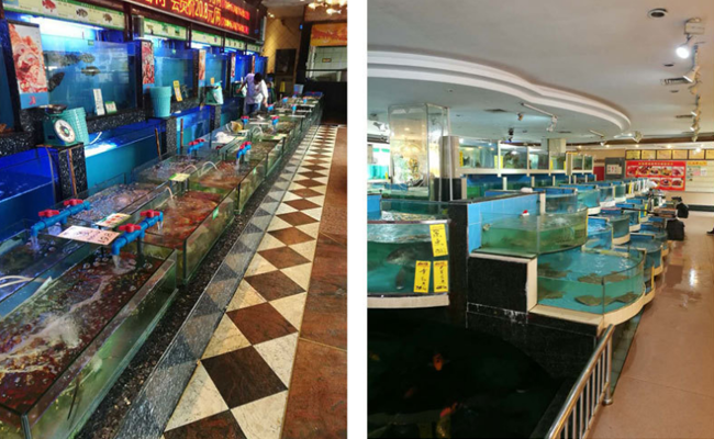 成都午夜视频免费在线观看設備廠製作海鮮池