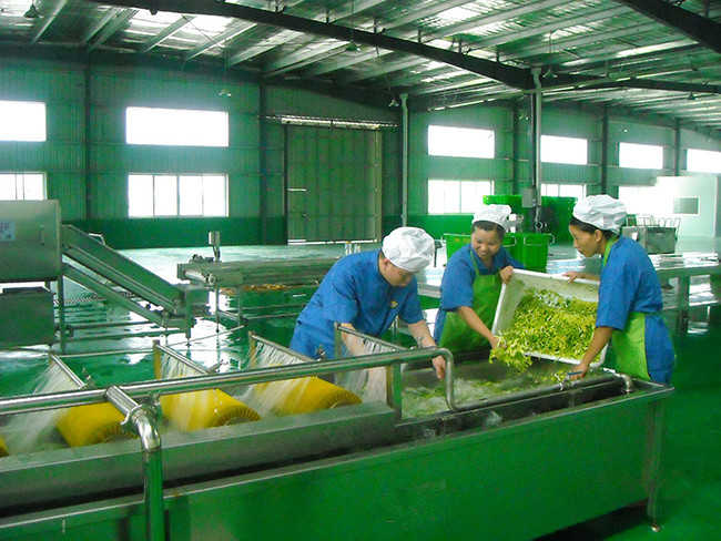 中央午夜视频免费在线观看設計