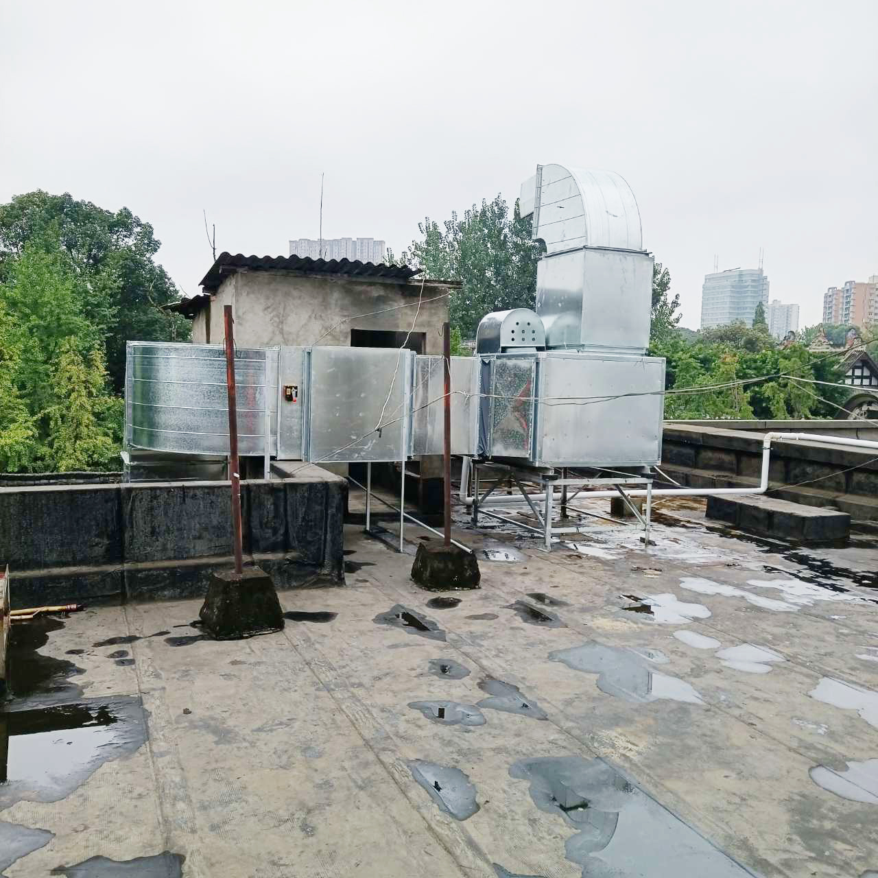 食堂午夜视频免费在线观看設備公司