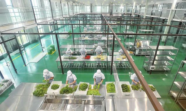 中央午夜视频免费在线观看設備