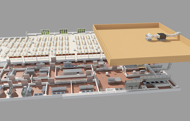 餐飲午夜视频免费在线观看排煙係統工程