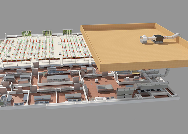 午夜视频免费在线观看抽排係統設計