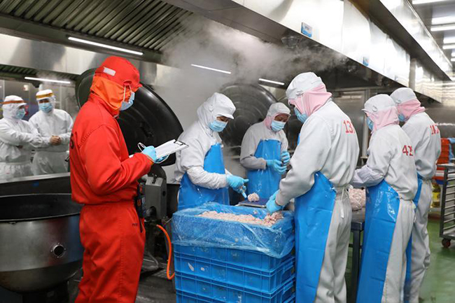 中央午夜视频免费在线观看設備