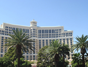 成都麗天星級酒店午夜视频免费在线观看設備采購項目