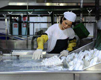 著名成都商用午夜视频免费在线观看設備廠告訴你專業的廚具消毒方法