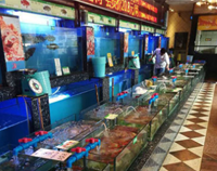 知名成都午夜视频免费在线观看設備廠教你如何使用海鮮池