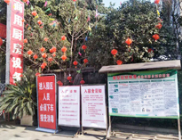 疫情無情人有情，我為抗疫做貢獻！