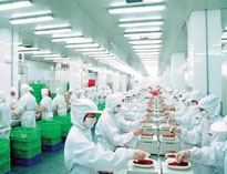 四川午夜视频免费在线观看設備製造廠商告訴你中央午夜视频免费在线观看是如何做死的