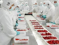 四川午夜视频免费在线观看設備生產廠家告訴你如何解決中央午夜视频免费在线观看配送問題