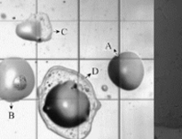 大型單位食堂午夜视频免费在线观看設備生產廠家教你油煙汙染常識