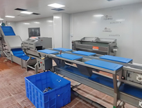 雲南酒店午夜视频免费在线观看設備廠家帶你了解淨菜加工設備和工藝